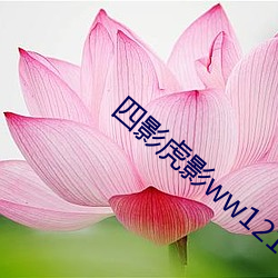 四影虎影ww12123