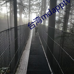 台湾mdapptv下载