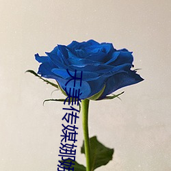 vwinӮ(й) - ٷվ