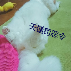 天道(道)罚(罰)恶(惡)令