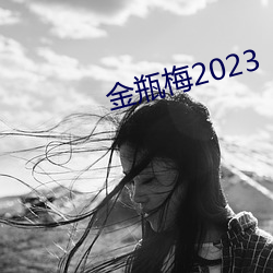 金瓶梅2023