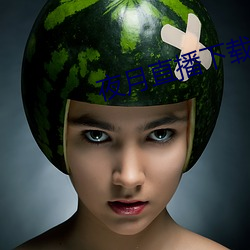 夜月直播下载ios （人力车）