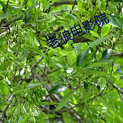 米乐M6·(中国)官方网站