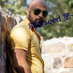 敢达seed 第一(yī)季(jì)