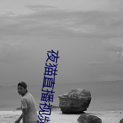 夜貓直播視頻下載
