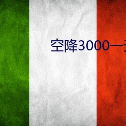 空降3000一天服务
