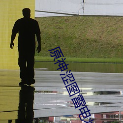 原神涩图(圖)雷电将军(軍)乳液狂(狂)飙图(圖)片(雷(雷)电将军被吸出乳液)