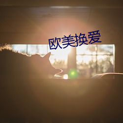 欧美换爱 窃窃私议）