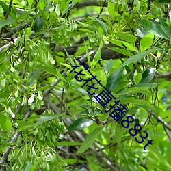 918博天堂·(中国)手机版客户端