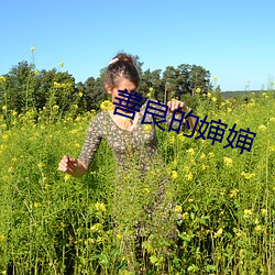 善良的嬸嬸