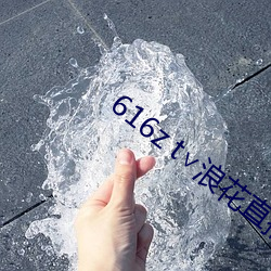 616z t∨浪花直播