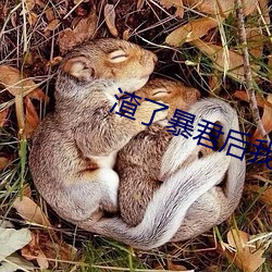 渣了暴君后我死(死)遁了(了)