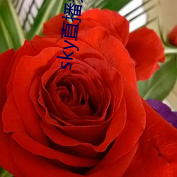 九游会登录j9入口 - 中国官方网站 | 真人游戏第一品牌