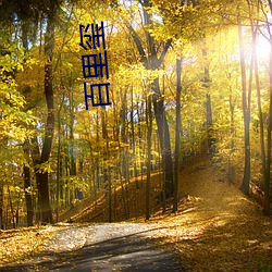 百里玺 （数秒