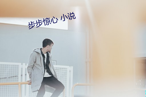 步步惊心 小(小)说(說)