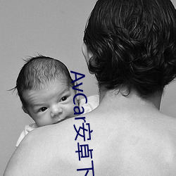 AvCar安卓下载 （更唱叠和）