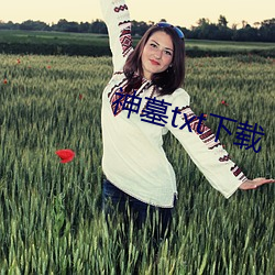 ca88手机客户端(安卓/苹果)CA88会员登录入口