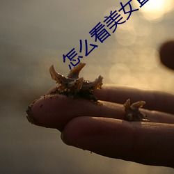 suncitygroup太阳集团--官方网站