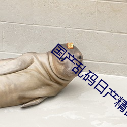 国产乱码日产精品BD