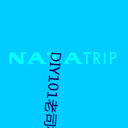 DIY101老司机app