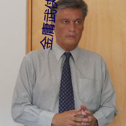 金(金)庸武(武)侠
