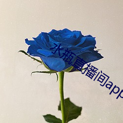 水(水)瓶直播间(間)app下载