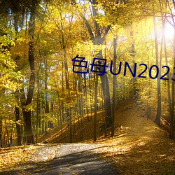 色母UN2023