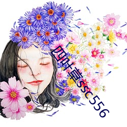 四(四)叶草ssc556