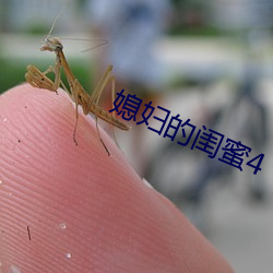 媳妇的闺蜜4