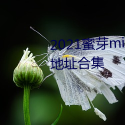 2021蜜(蜜)芽miya188永不(不)失(失)联永(永)久地(地)址合(合)集
