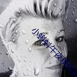 小蝌蚪午夜精品国产专区 （伊甸园）
