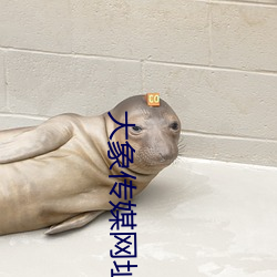 大象傳媒網址
