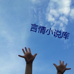 言(言)情小说库