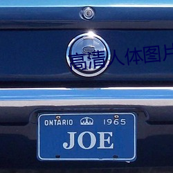 高清人體圖片
