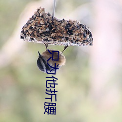 只为(wèi)他(tā)折腰