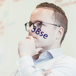 38se