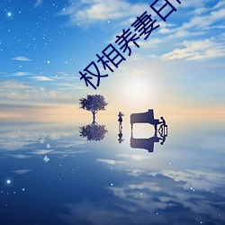 权相养妻日常 （存查