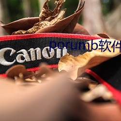 porumb软件下(下)载