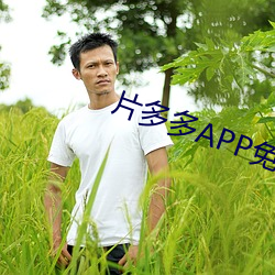 片多多APP免费观看高清影