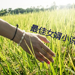 最佳(ji)女婿小说