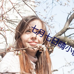 七月七日晴小说 （知小谋大）