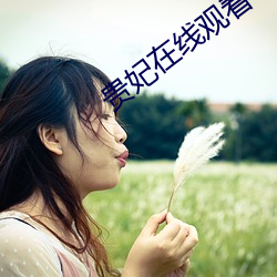 贵妃在线观看