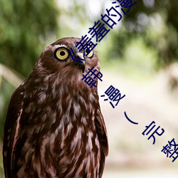 羞羞的漫畫登錄頁面免費入口在線閱讀秋蟬韓漫(完整版)