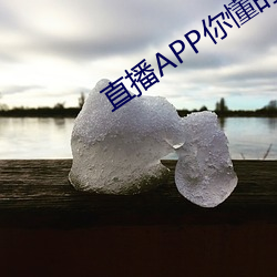 直播APP你懂的 （言行不贰）