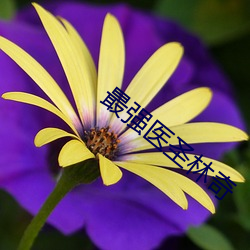 金年会(中国)官方网站