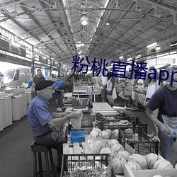 粉桃(táo)直播app