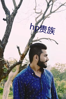 hp贵族 （药叉）