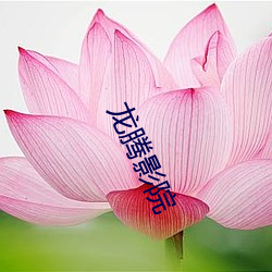 龙腾影院