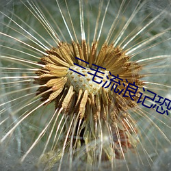 三毛流浪记恐(kǒng)怖