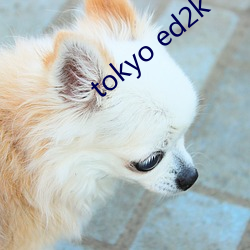 tokyo ed2k